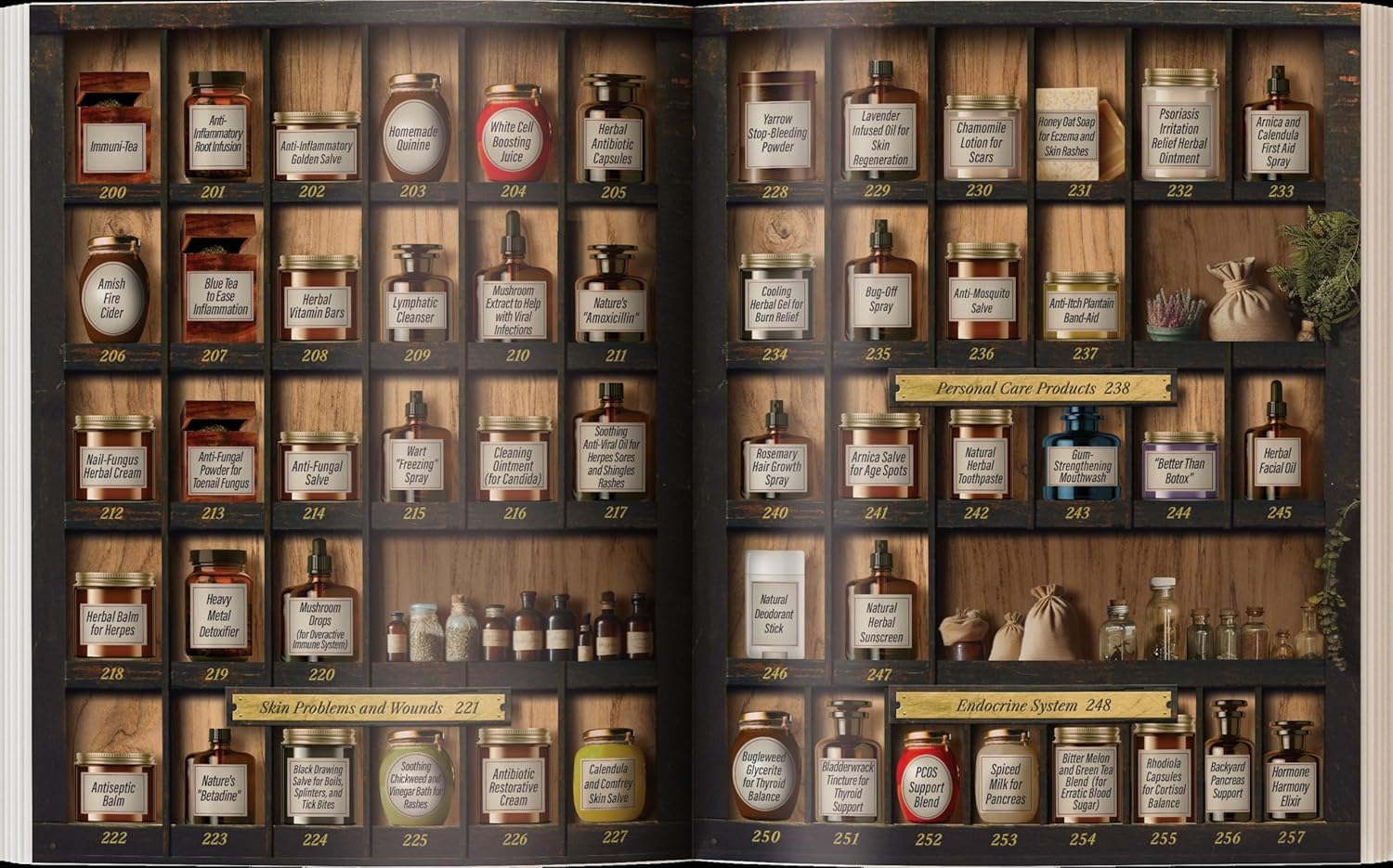 Forgotten Home Apothecary: 250 Natural Remedies for Everyday Health
