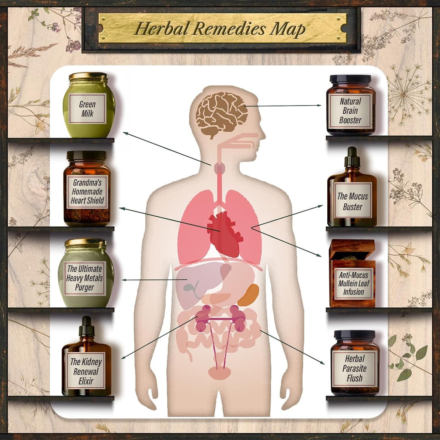 Forgotten Home Apothecary: 250 Natural Remedies for Everyday Health